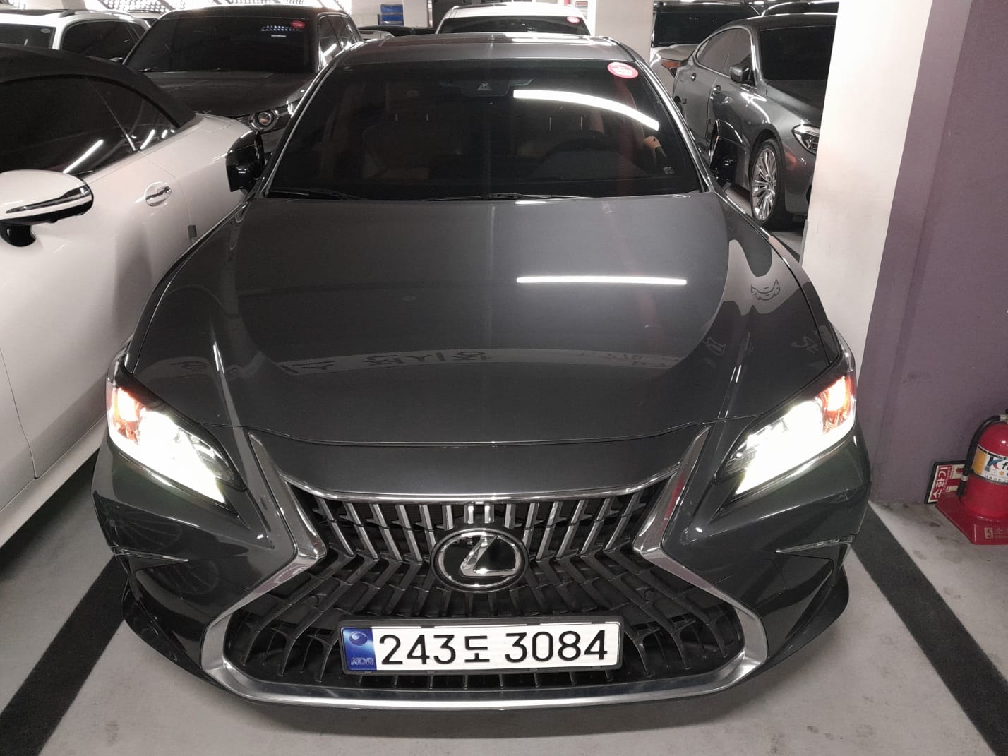 ES300