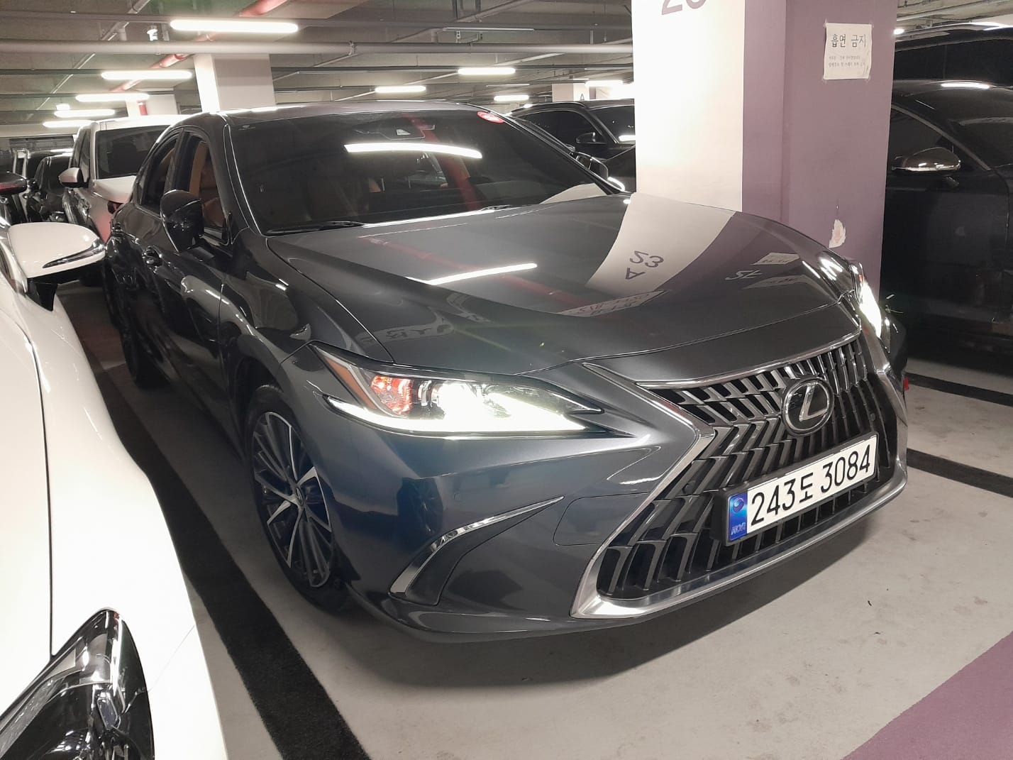 ES300