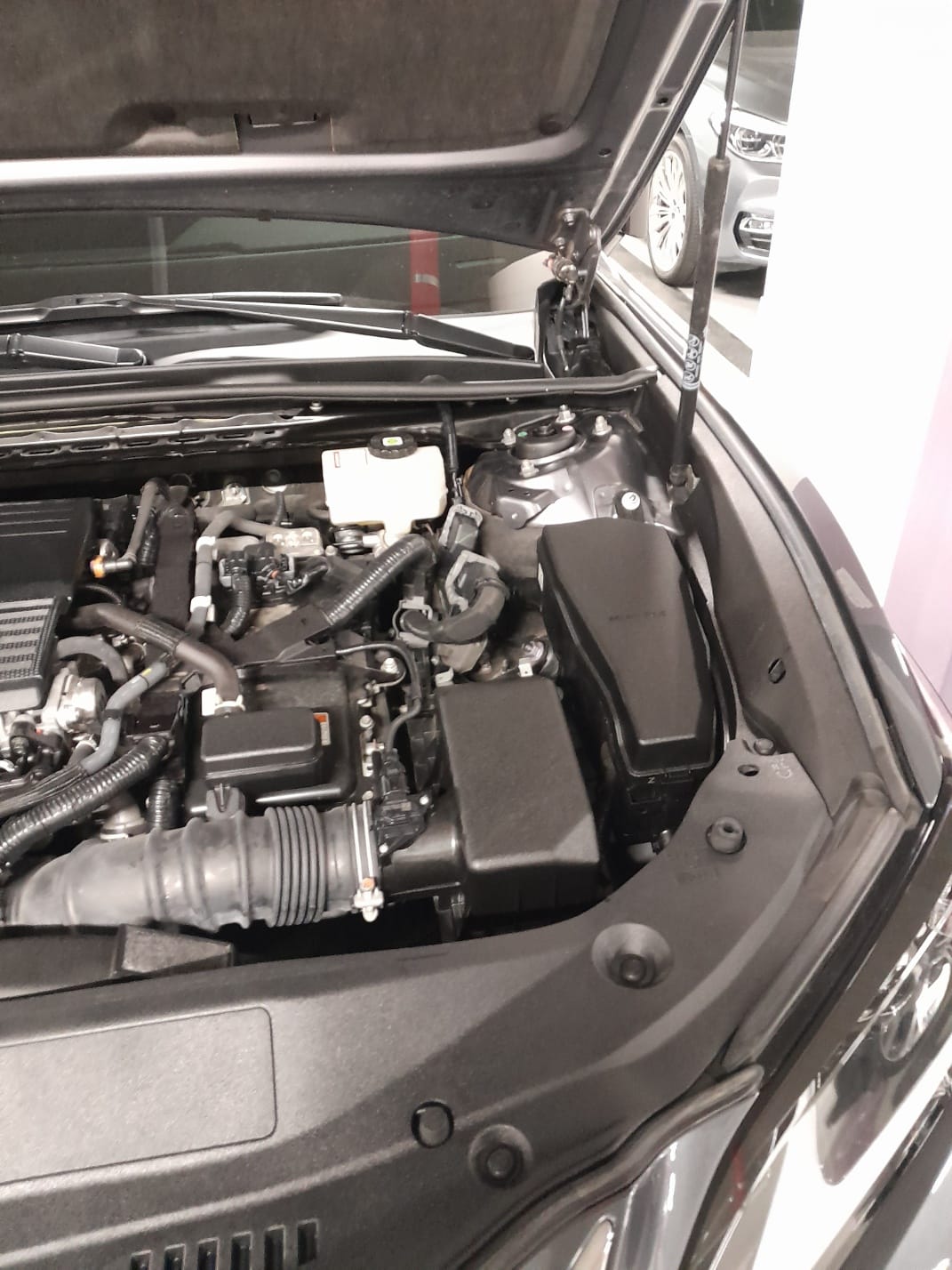 ES300