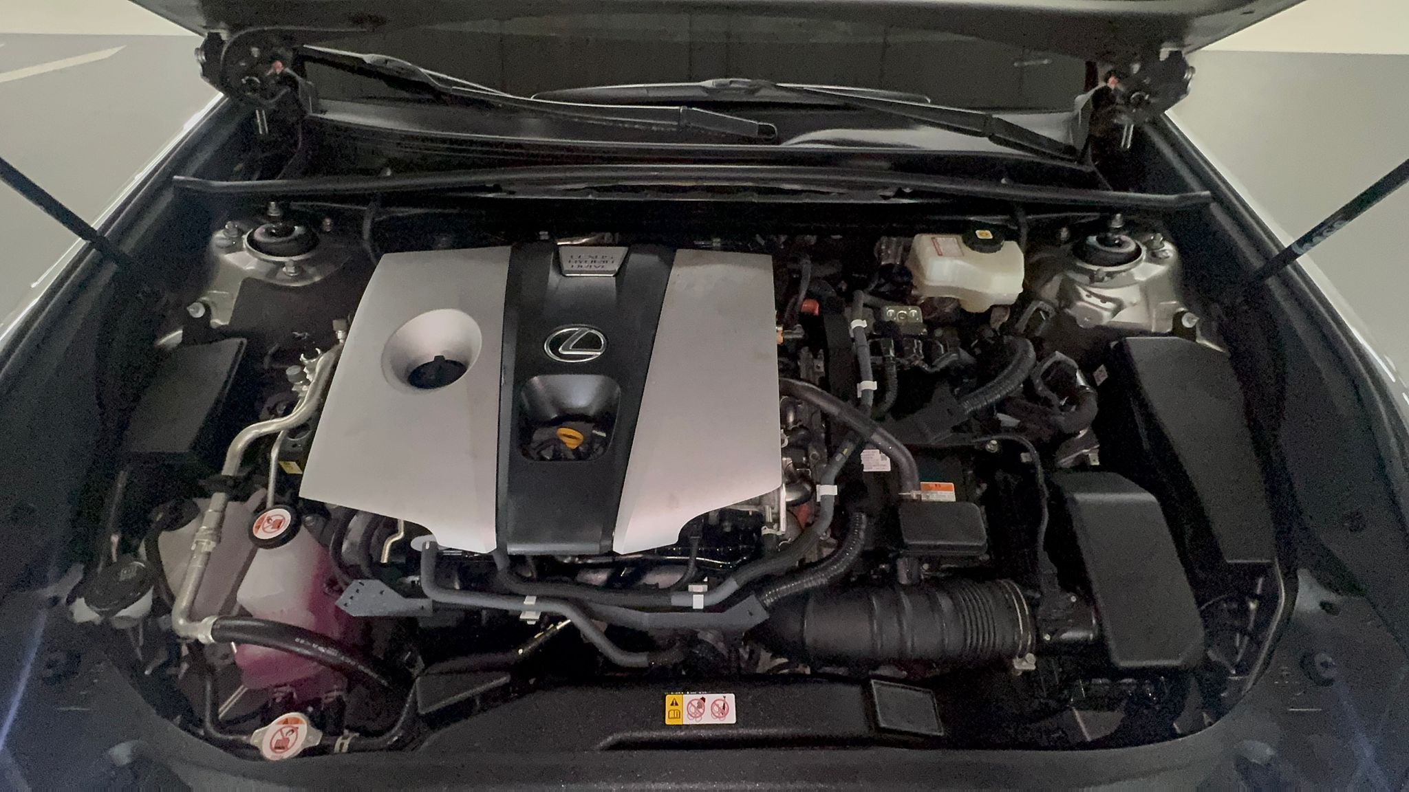 ES300