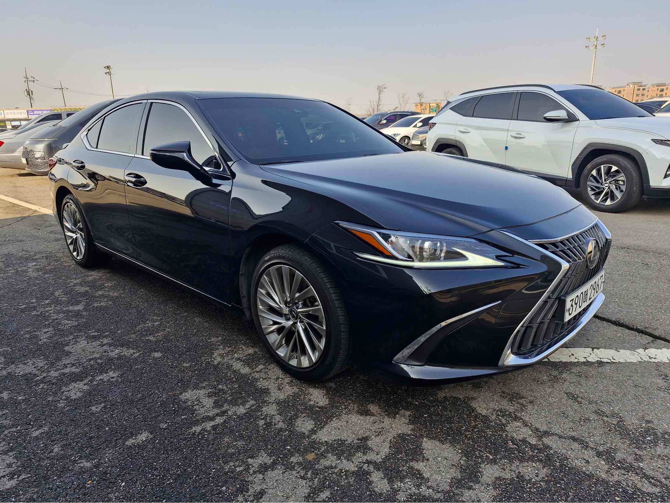 ES300