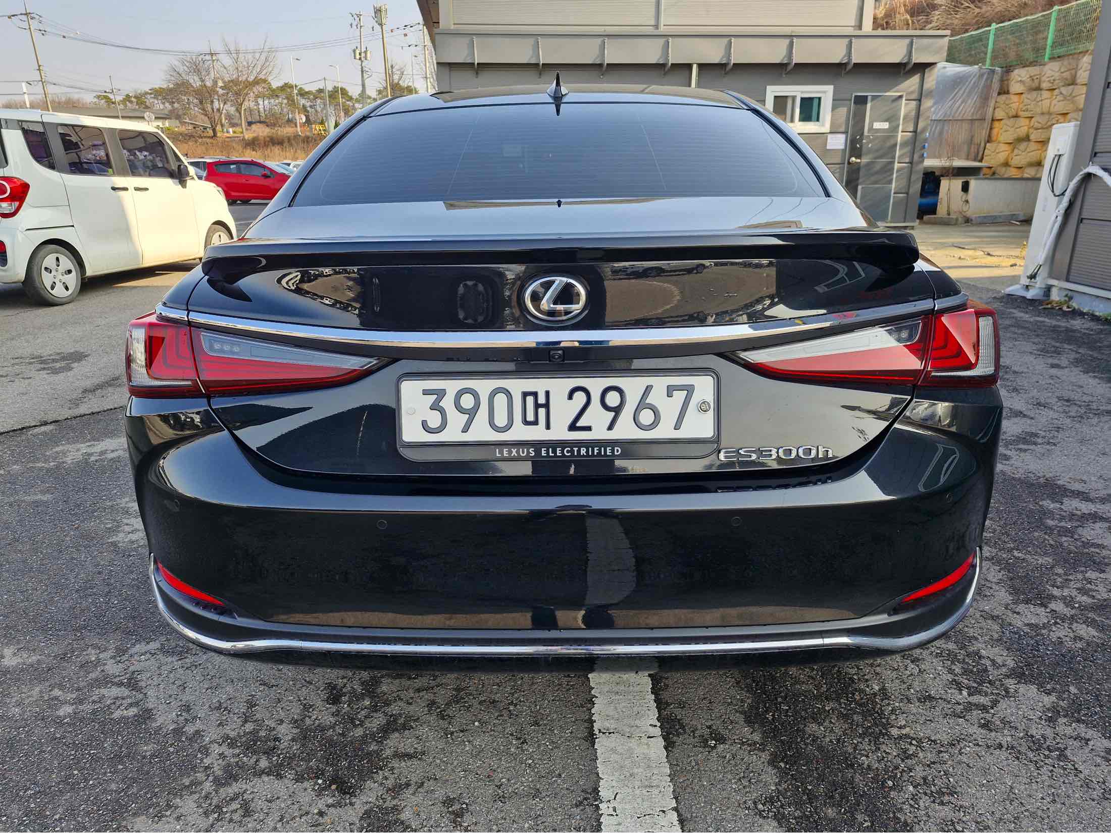 ES300